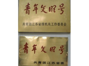 2001年度省級青年文明號