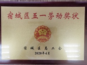 2020天泓楚漢宿遷市宿城區(qū)“五一勞動獎狀”