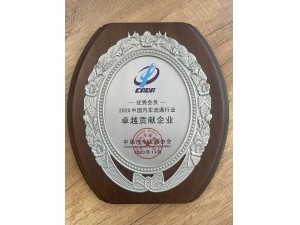 2020中國汽車流通行業(yè)卓越貢獻(xiàn)企業(yè) 